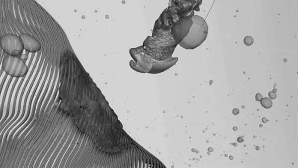 Monochrome close-up of layered textures covered with water droplets.